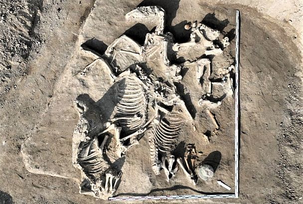 Уникальная находка: бронзовый шлем легионера из I века до н.э обнаружили археологи под Анапой