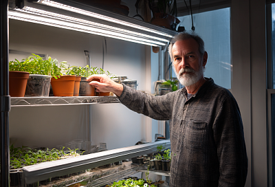 Как правильно подсвечивать рассаду: простые и дешёвые светильники, которые работают 30 лет