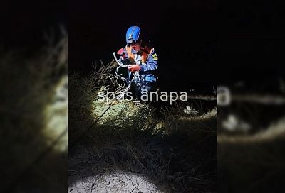 Спасатели помогли туристу, застрявшему ночью на крутом склоне в Анапе