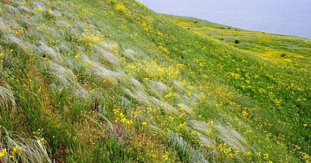 Погода Заря Анапский Район Краснодарский Край Фото