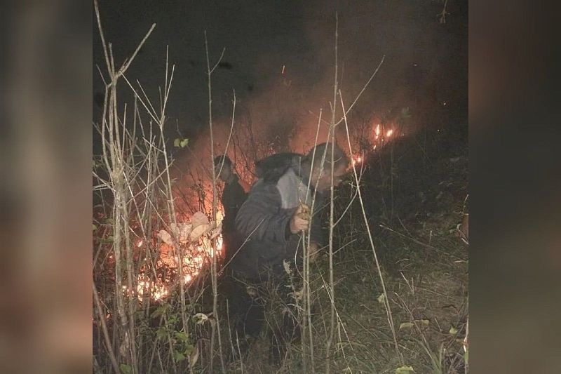 В Краснодарском крае потушили лесной пожар на площади 5,2 га