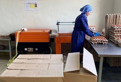 Поставщик яиц в Краснодарском крае увеличил выработку продукции на 20%