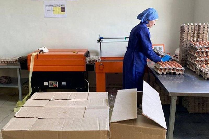 Поставщик яиц в Краснодарском крае увеличил выработку продукции на 20%