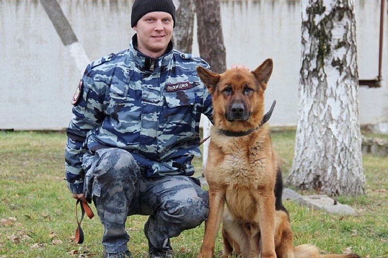 В Краснодарском крае служебный пес помог задержать автоугонщика