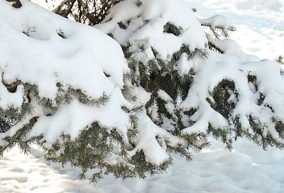 Вторжение зимы в апреле: синоптики назвали причину погодных аномалий в России