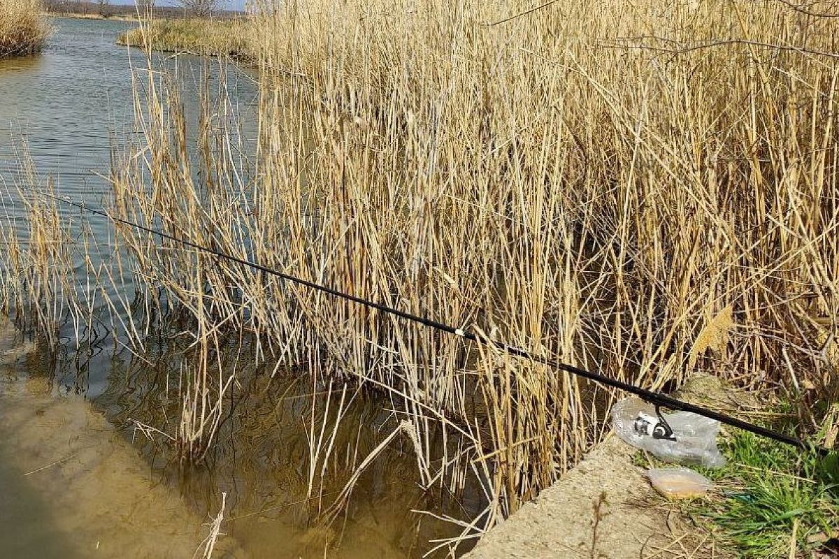 Трофейный судак жадно хватает живца: секреты верной поклевки и вываживания от Сабанеева