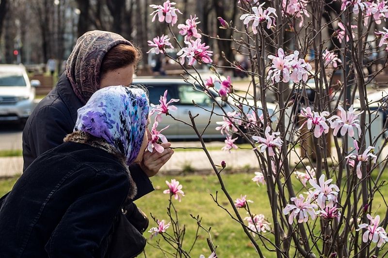 20-градусное тепло ворвется в Краснодарский край 8 марта