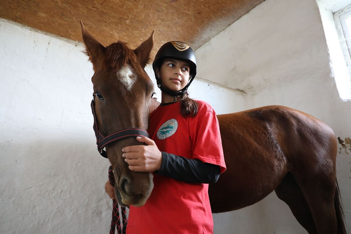 Краснодарский край остается единственным в России субъектом, где спортивное коневодство поддерживается на региональном уровне.