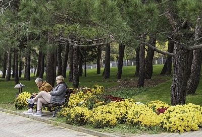 В 2025 году на Кубани число предложений о подработке для пенсионеров выросло на 87%