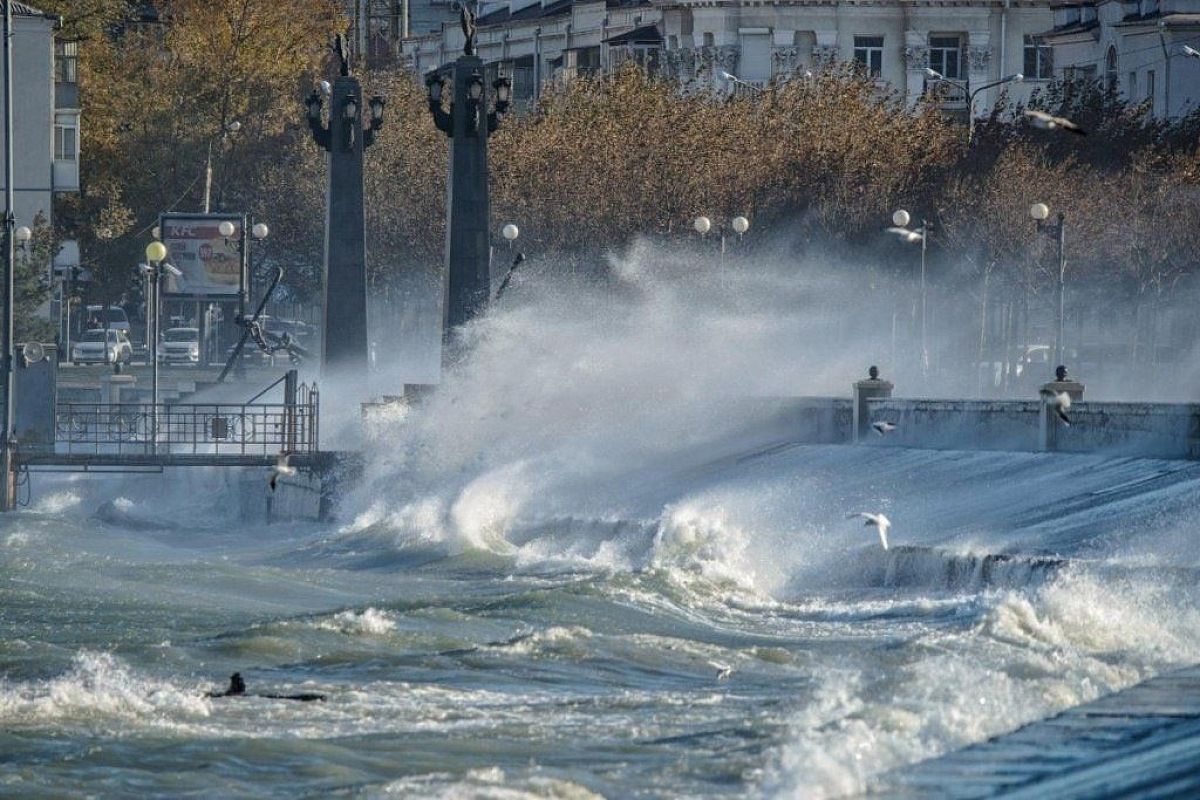 В Новороссийске из-за ураганного ветра вводят режим ЧС