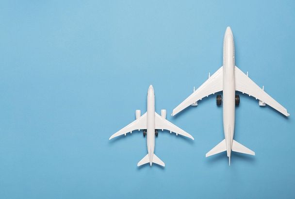 "Аэрофлот" вынужденно отменил рейс, после столкновения самолета с птицами