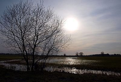 Народные приметы на сегодня – 20 марта, что можно и нельзя делать в день весеннего равноденствия 