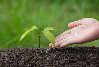 Туапсинский балкерный терминал сократил перевалку удобрений почти на 19%