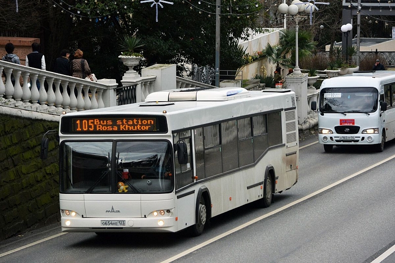 Почему во время пандемии коронавируса отменяют движение автобусов и электричек