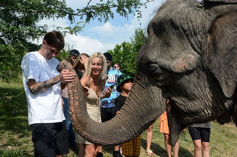 В Сочи появился парк слонов