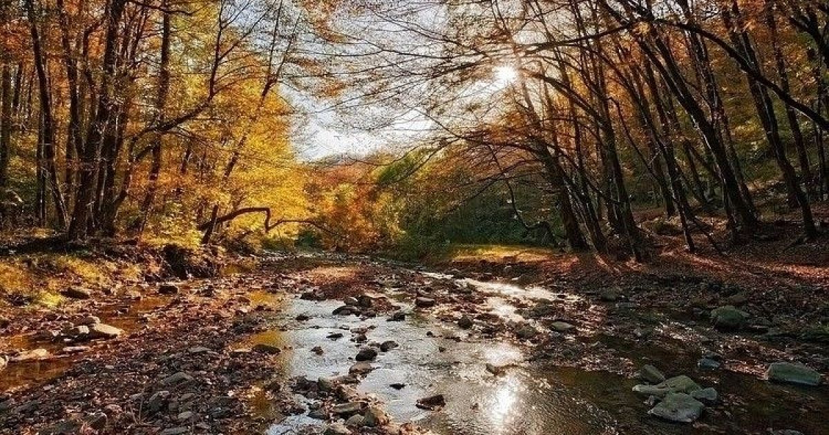 Фото Осеннего Сочи