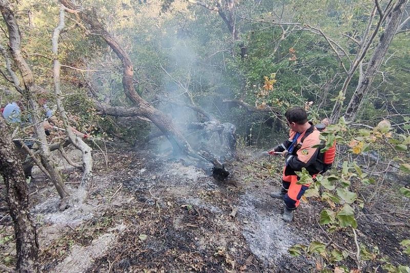 Лесной пожар в Геленджике локализован