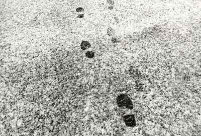 Мокрый снег, шквалистый ветер и гололед: Краснодар готовится к удару стихии