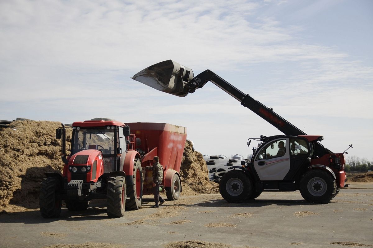  Кому земля – кормилица: кубанские аграрии видят перспективу в повышении плодородия почвы