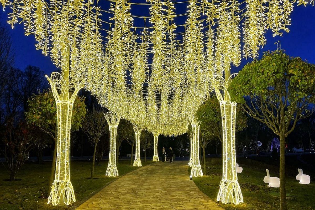 Еще больше сказки. Аллею в парке Галицкого украсили гирляндами и кроликами