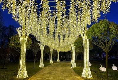 Еще больше сказки. Аллею в парке Галицкого украсили гирляндами и кроликами