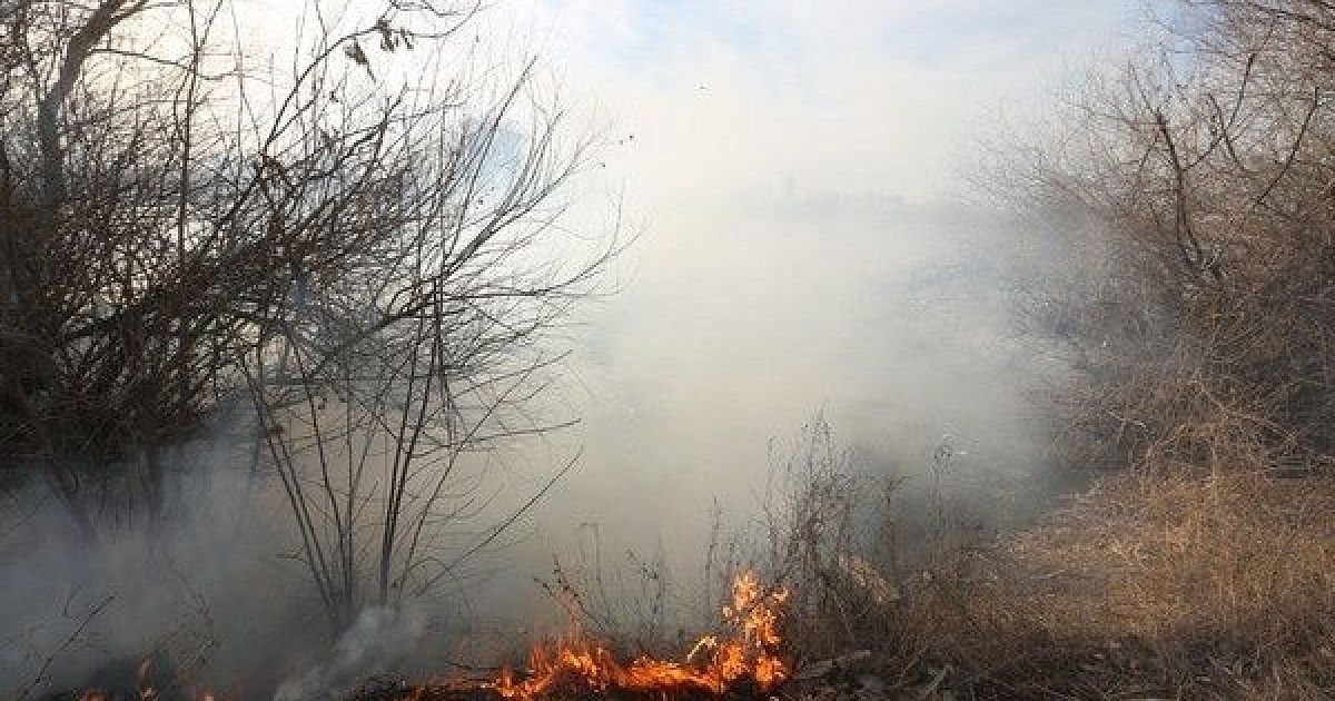 Пожар в туапсинском районе. Джубгское лесничество. ТЗБ Туапсе после пожара. Пожар в Туапсинском районе сегодня.