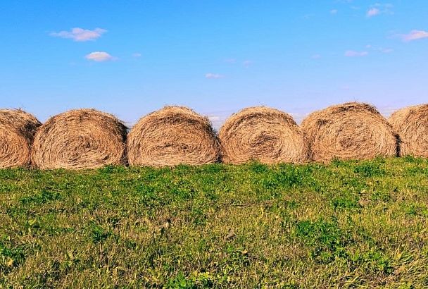 В Краснодарском крае увеличат финансирование программы «Сельская усадьба»