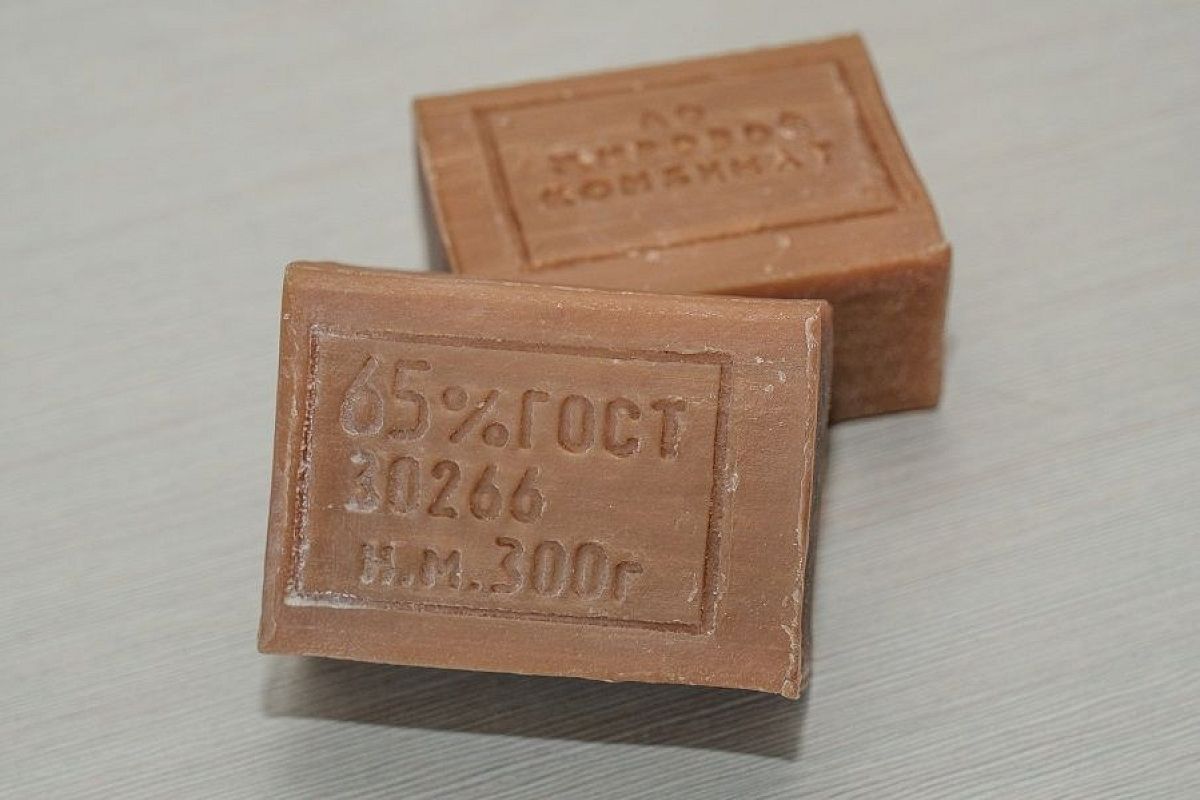 Против тли, слизней и других гадов: 5 способов применения хозяйственного мыла в огороде от наших прабабушек