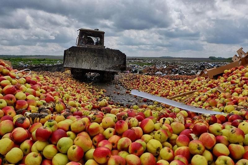 С начала года в Краснодарском крае уничтожено почти 6,4 тонн санкционных фруктов и овощей