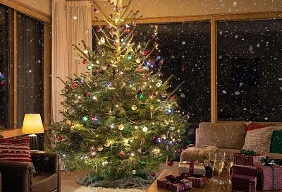 Украшаю елку, чтобы привлечь удачу: игрушки, цвет и стиль. Что предпочитает Огненная Лошадь