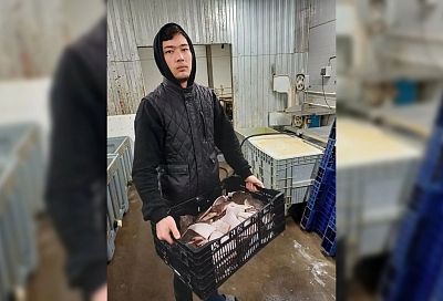 Мигрантов-нелегалов поймала полиция на предприятии под Краснодаром