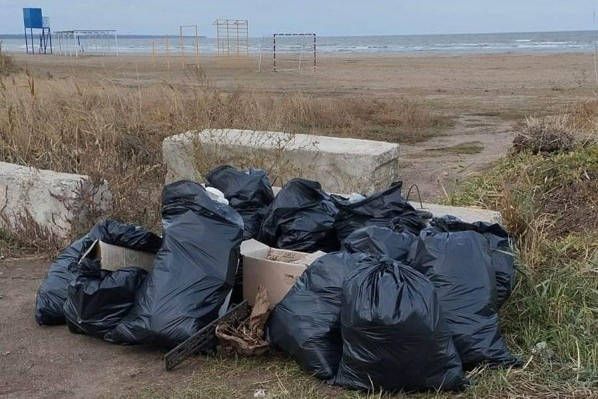 Берег Таганрогского залива в Ейске очистили от мусора после курортного сезона