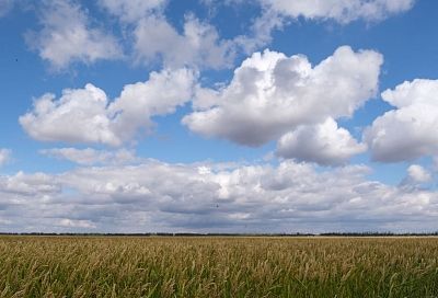 В Краснодарском крае объявили беспилотную опасность