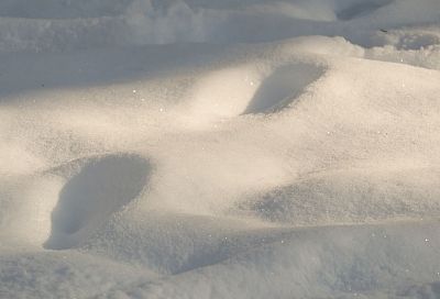 Сугробы в высокогорье под Сочи вновь перевалили за два с половиной метра