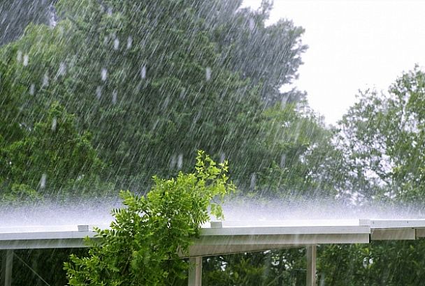 Сильный дождь ожидается в Сочи 5 февраля