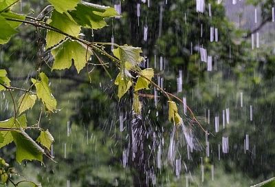Температура ниже нормы и дожди: ненастный вихрь продолжит портить погоду в Краснодарском крае
