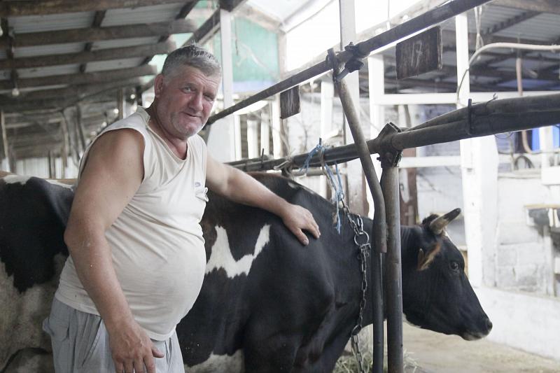 Как развивается молочное животноводство в малых крестьянских хозяйствах Краснодарского края