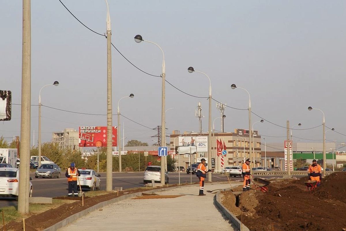 На новую аллею по улице Петра Метальникова в Краснодаре пересадят 362 липы с улицы Московской