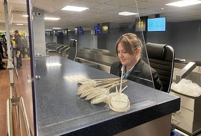 Аэропорт Краснодара обслужил полмиллиона пассажиров