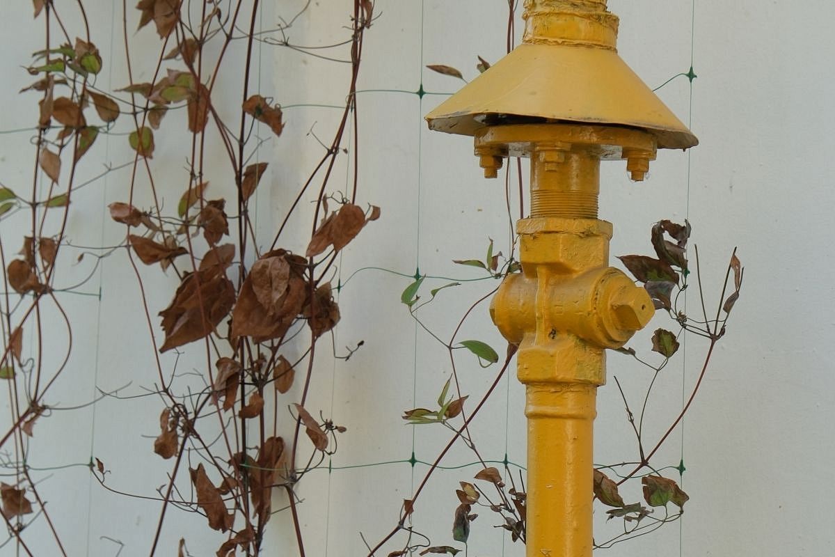 Губернатор Вениамин Кондратьев: «Газ в домах жителей станицы Плоской должен быть до конца 2026 года»