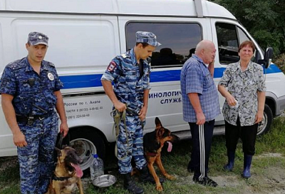 Служебные собаки помогли найти потерявшихся в лесу под Анапой пенсионеров 