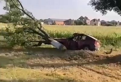 В Армавире иномарка врезалась в дерево. 75-летний водитель погиб