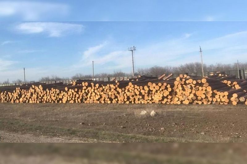 Краснодарские таможенники выявили контрабанду лесоматериалов на 39 млн рублей