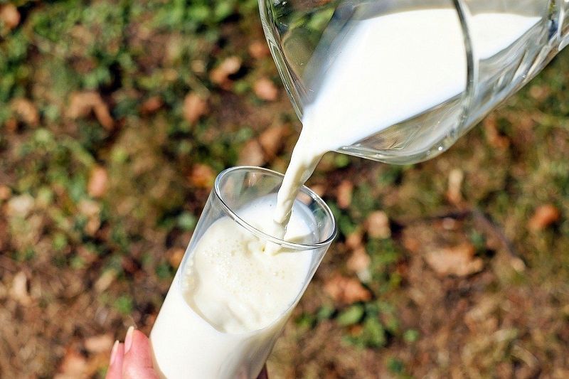 В Краснодарском крае увеличат производство молока