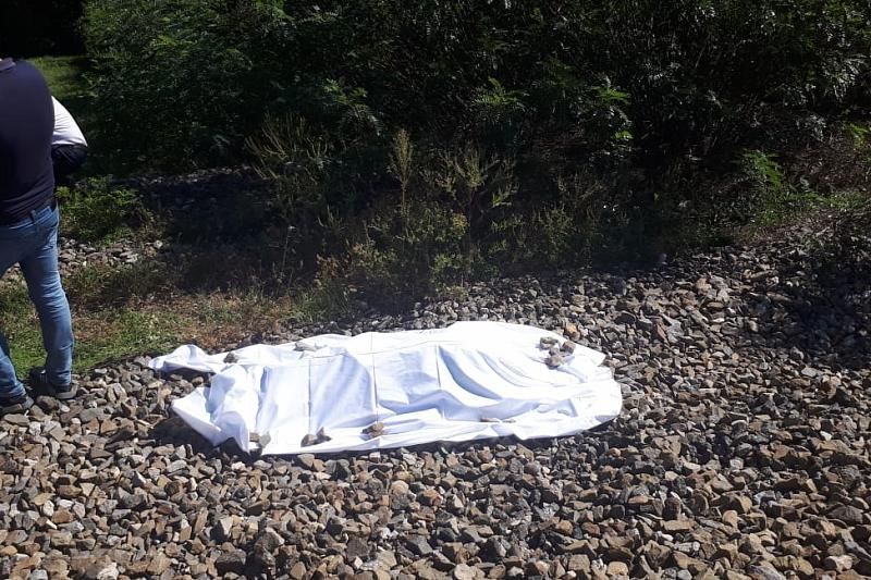 Следователи выясняют причины гибели 4-летнего мальчика под колесами поезда в Краснодарском крае