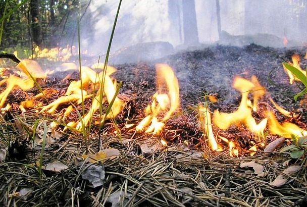 Лесной пожар тушат в Туапсинском районе
