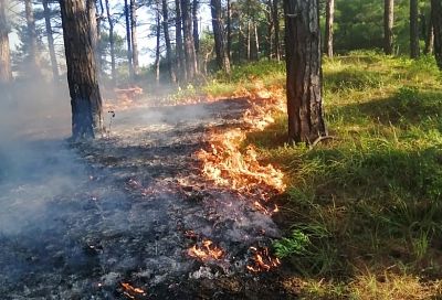 60 человек 13 часов тушили крупный лесной пожар под Геленджиком