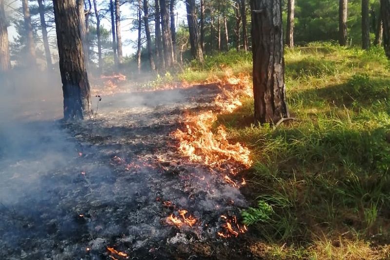 60 человек 13 часов тушили крупный лесной пожар под Геленджиком