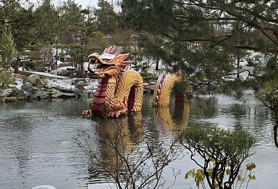 Стало известно, как будет работать Японский сад в парке «Краснодар» в новогодние праздники