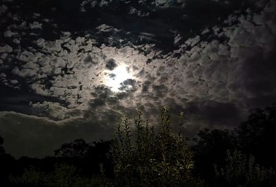 Астероид Апофис при сближении с Землей пронесется над Россией: в каких регионах увидят космический булыжник